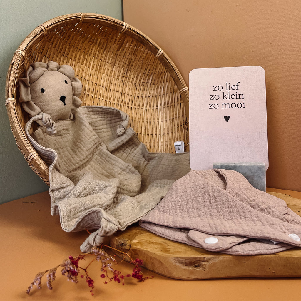 Kraamcadeau | cadeaupakket | knuffel & slabbetje
