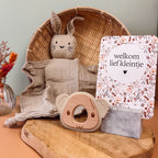 Kraamcadeau | cadeaupakket | knuffel & bijtring